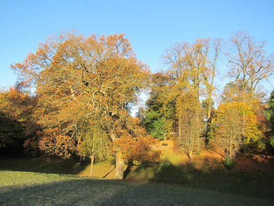 Hurst Grange Park