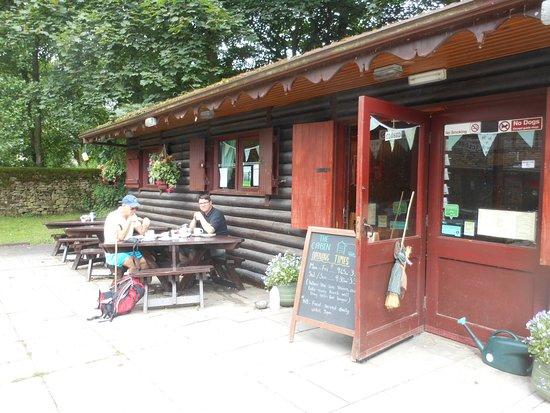 The Cabin