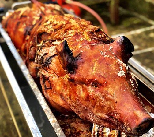 The Spitting Pig