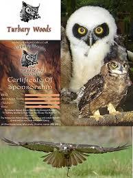 Turbary Woods Owl and Bird Sanctuary