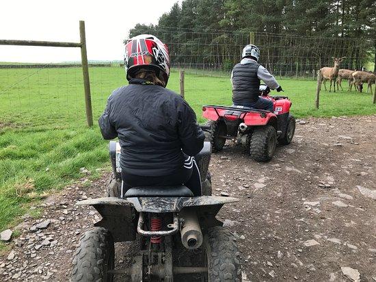 Quadtrex