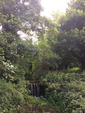 Haslam Park