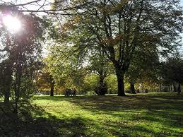 Ryelands Park