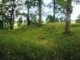 Castle Haugh